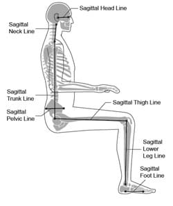 Figure 2 Sagittal body segment lines (Figure B.2a from the CAG)